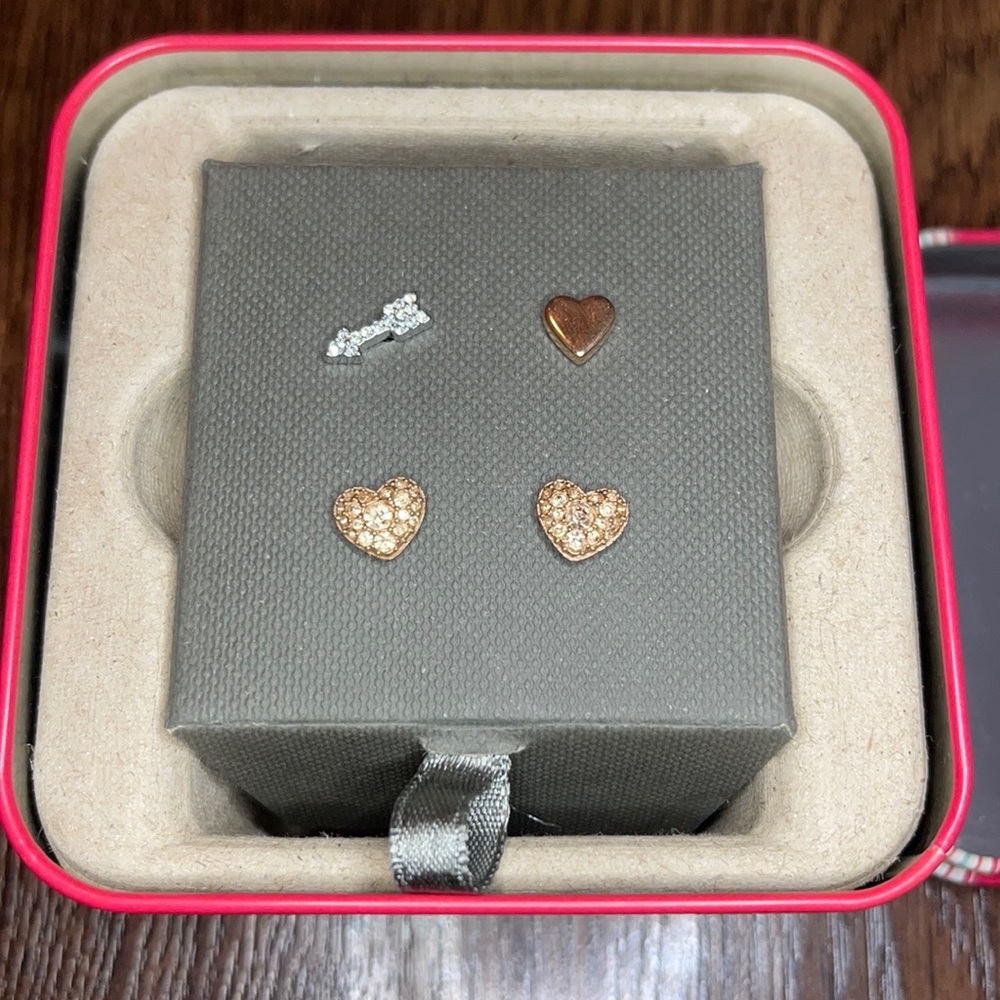 Fossil Earrings